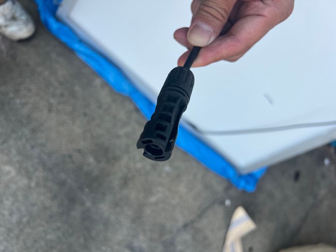 にゃんこきんぐ　10枚