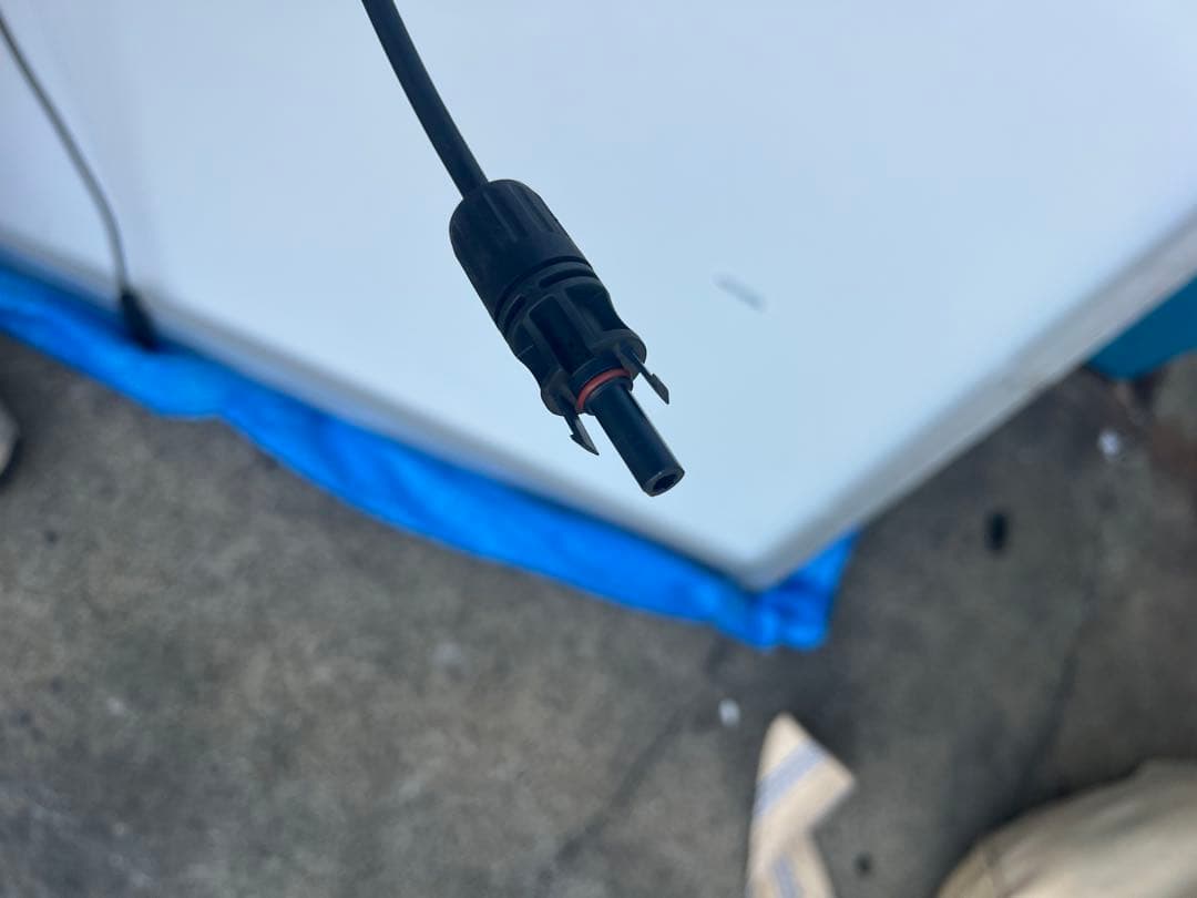 にゃんこきんぐ　10枚