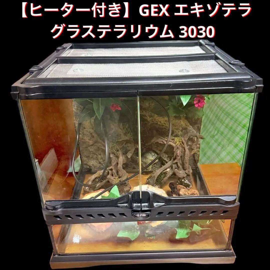 【ヒーター付き】GEX エキゾテラ グラステラリウム 3030