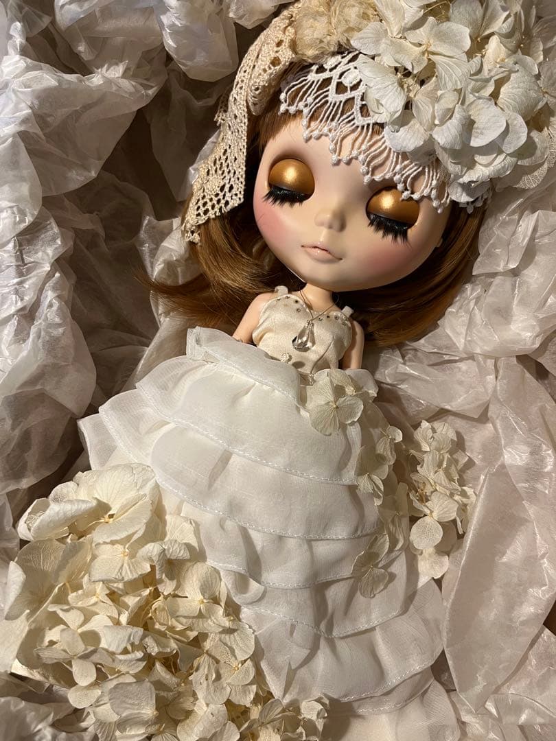 ネオブライス　Splash and sammy カスタムドール