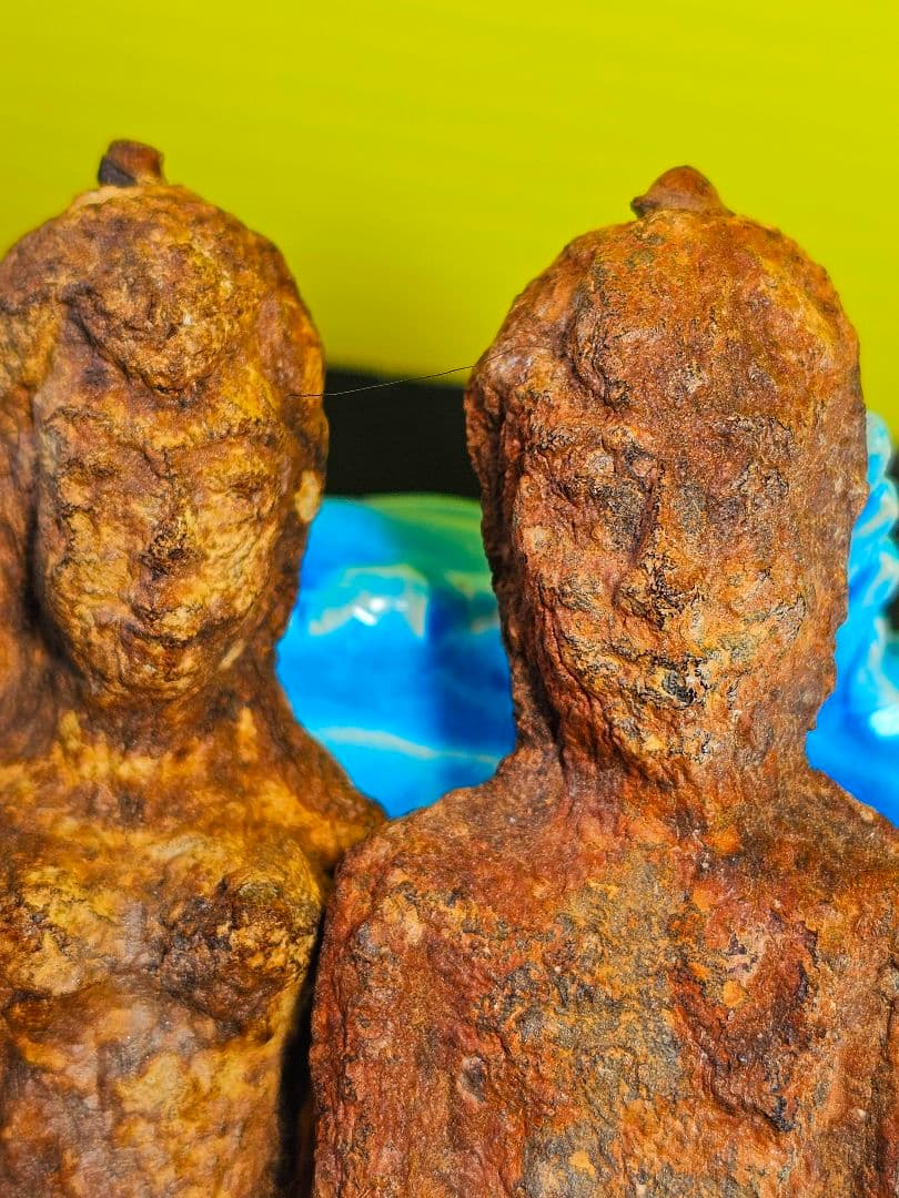 毛が生えた‼️特級呪物‼️希少‼️超特大サイズ‼️ナリーポンとマカリーポン