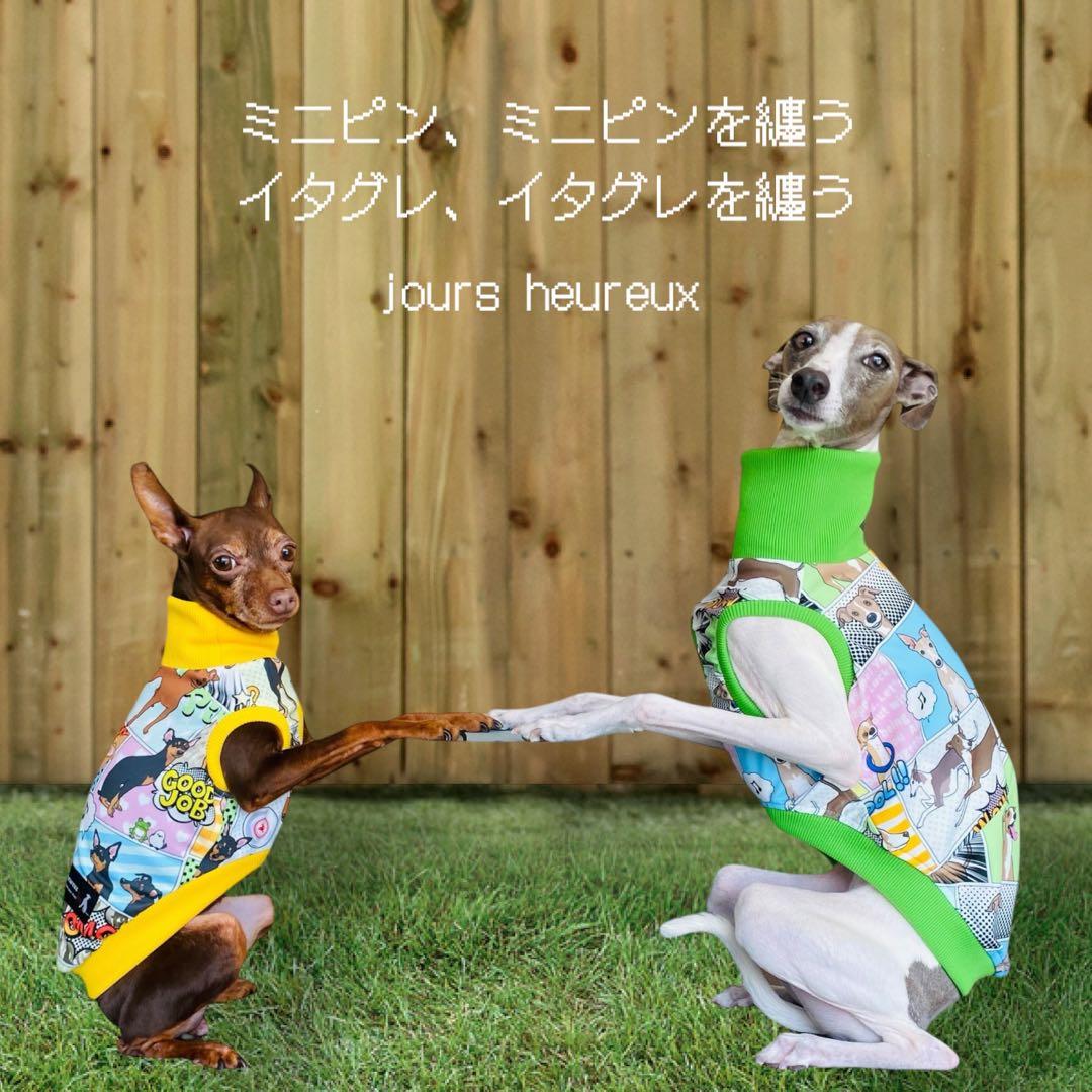 ⑮ミニピン、ミニピンを纏う　　　　　　　 　イタグレ、イタグレを纏う