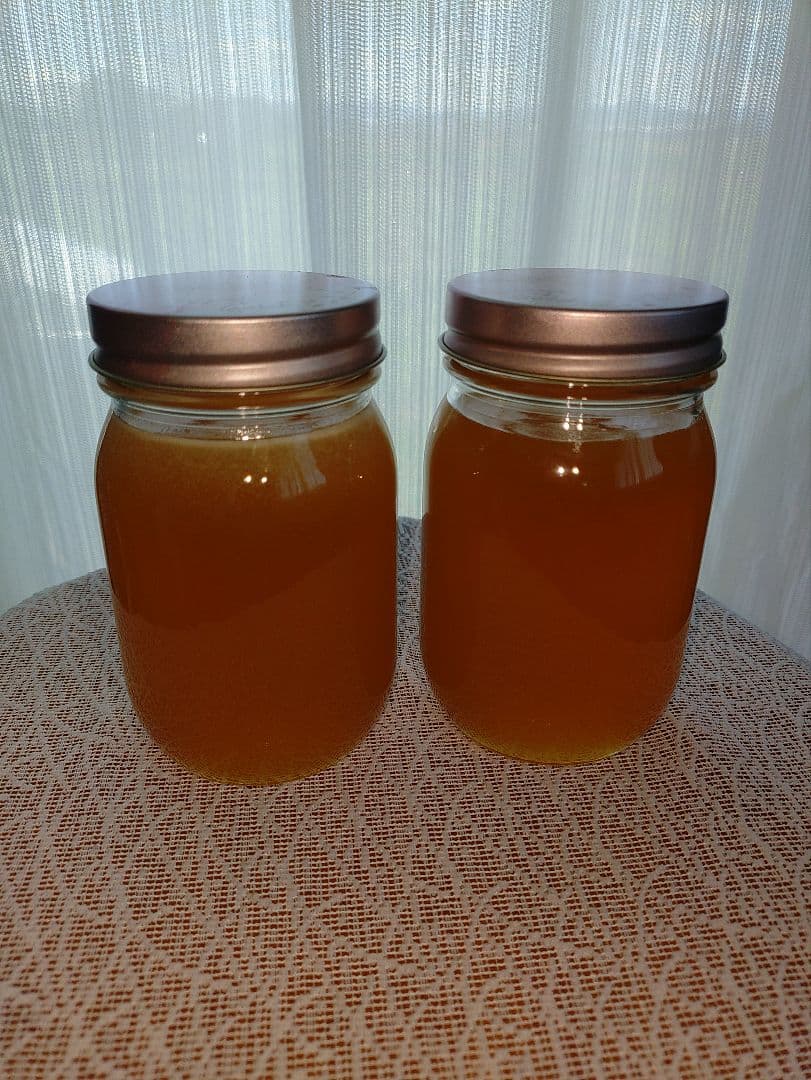 日本蜜蜂ハチミツ