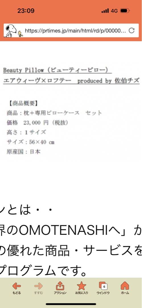 エアウィーヴ　枕　佐伯チズ　モデル