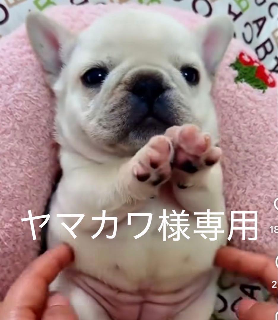 ヤマカワ様連絡用