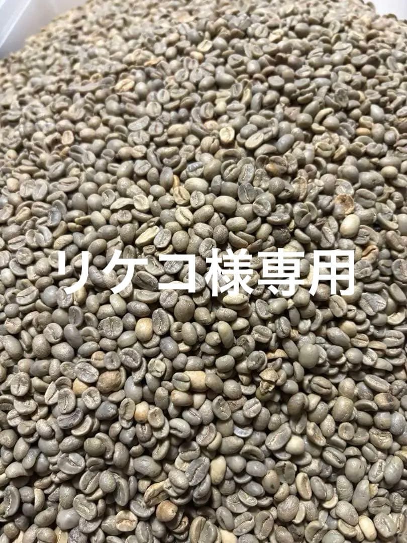 爆安!!【コーヒー生豆】マンデリンG1 インドネシア 5kg ※送料無料