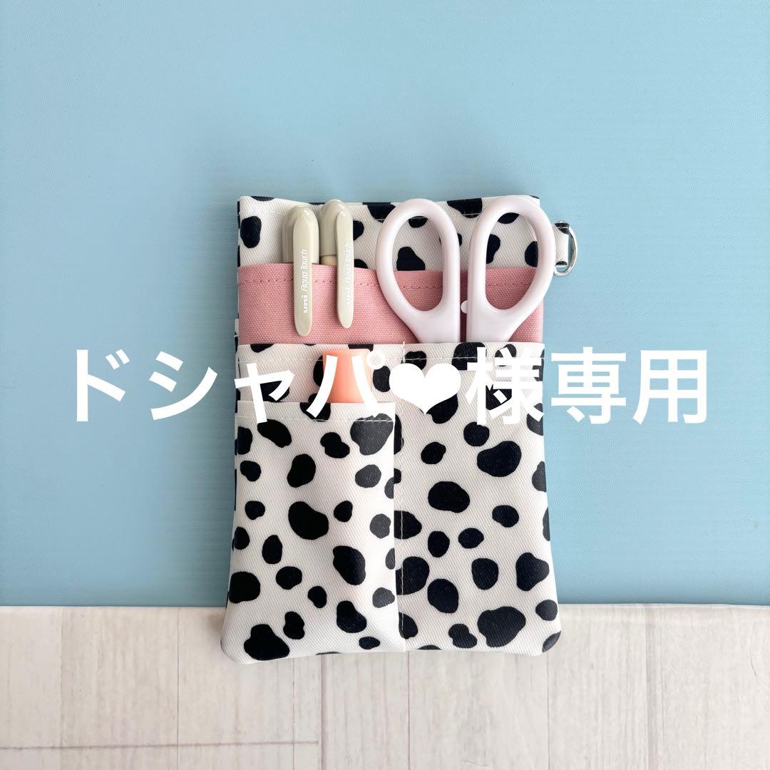 ★ドシャパ❤︎★ナースオーガナイザー　ペンケース