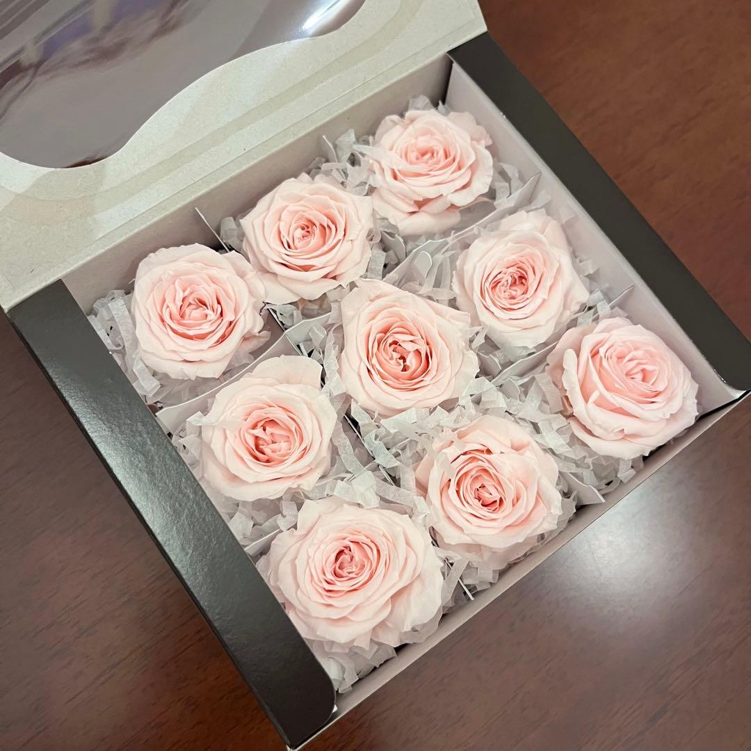 20 プリザーブドフラワー　大地農園　まとめ売り　ビビアン　かのん