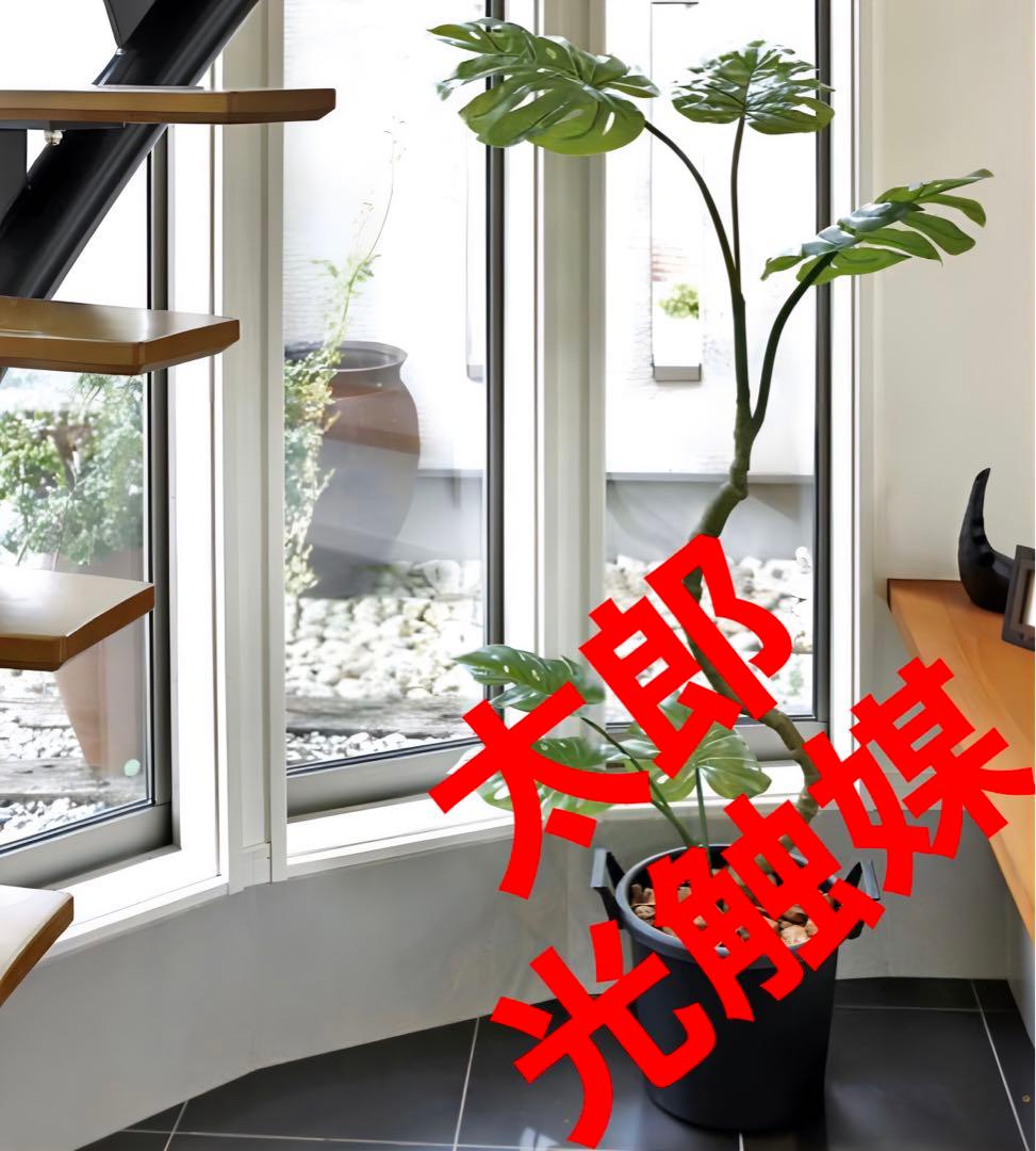 光触媒　人工観葉植物　フェイクグリーン　インテリアモンステラ1.7