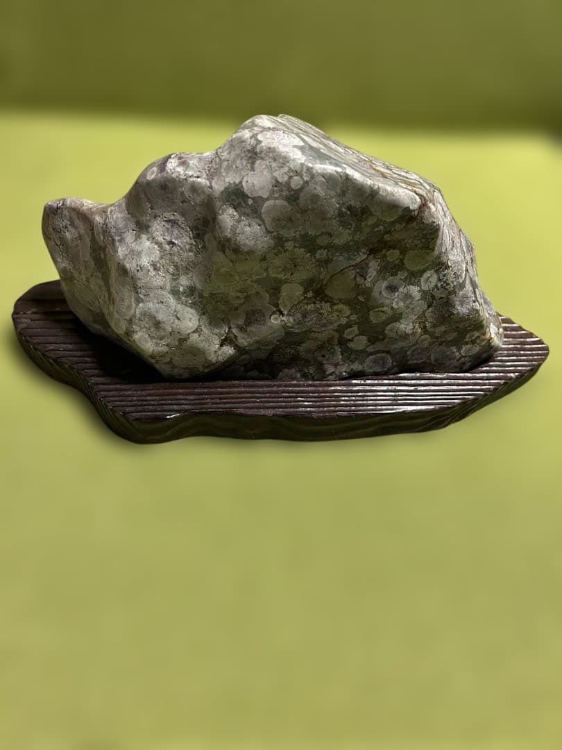 梅花石 菊花石？