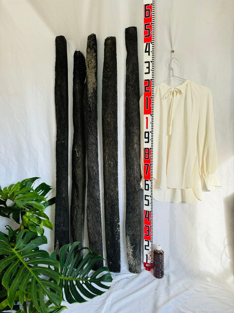 ヘゴ　ヘゴ板　ヘゴの登り棒　着生　1.5m 1本　アロイドの親木の管理に最適