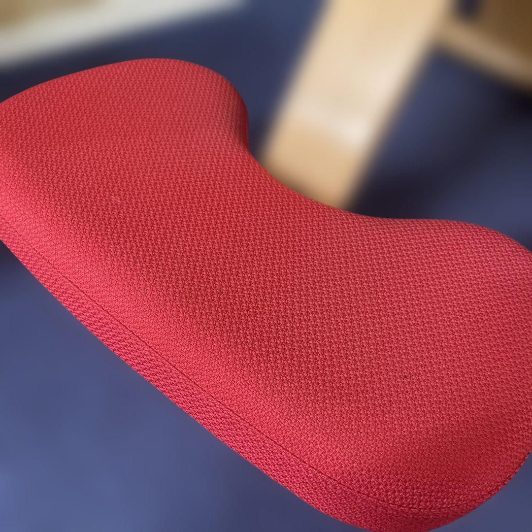 バランスチェア　balans Easy バランスイージー