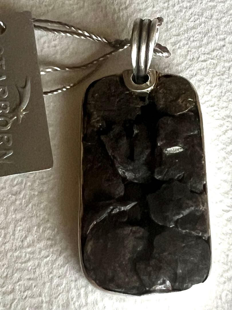 カンポデルシェロ隕石ペンダント！本物！ スターボーン社④