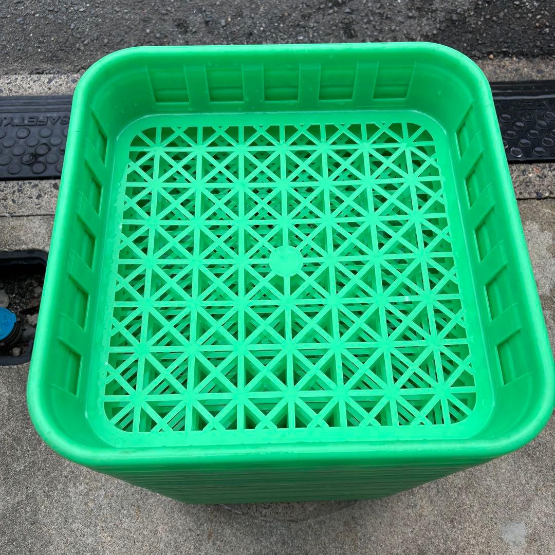 専用【中古菌糸コンテナL50個】 菌床ボトルの整理に最適