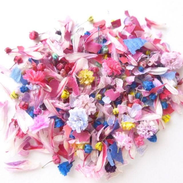 引越し処分様◆【ドライフラワー】花びらつぼみ mix（725 レジン パーツ）